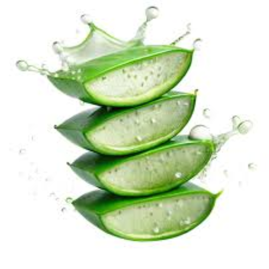 FRESH ALOE VERA